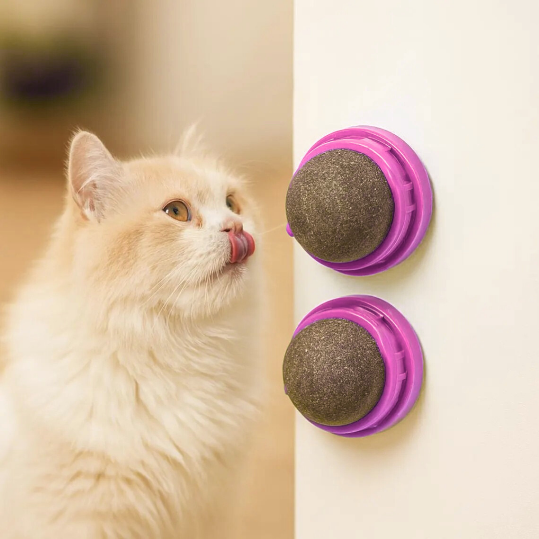 Catnip Ball with Sticker