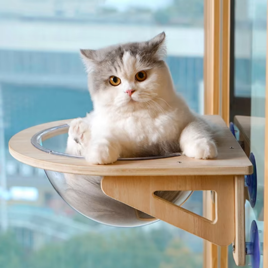 Hideaway Cat Nest