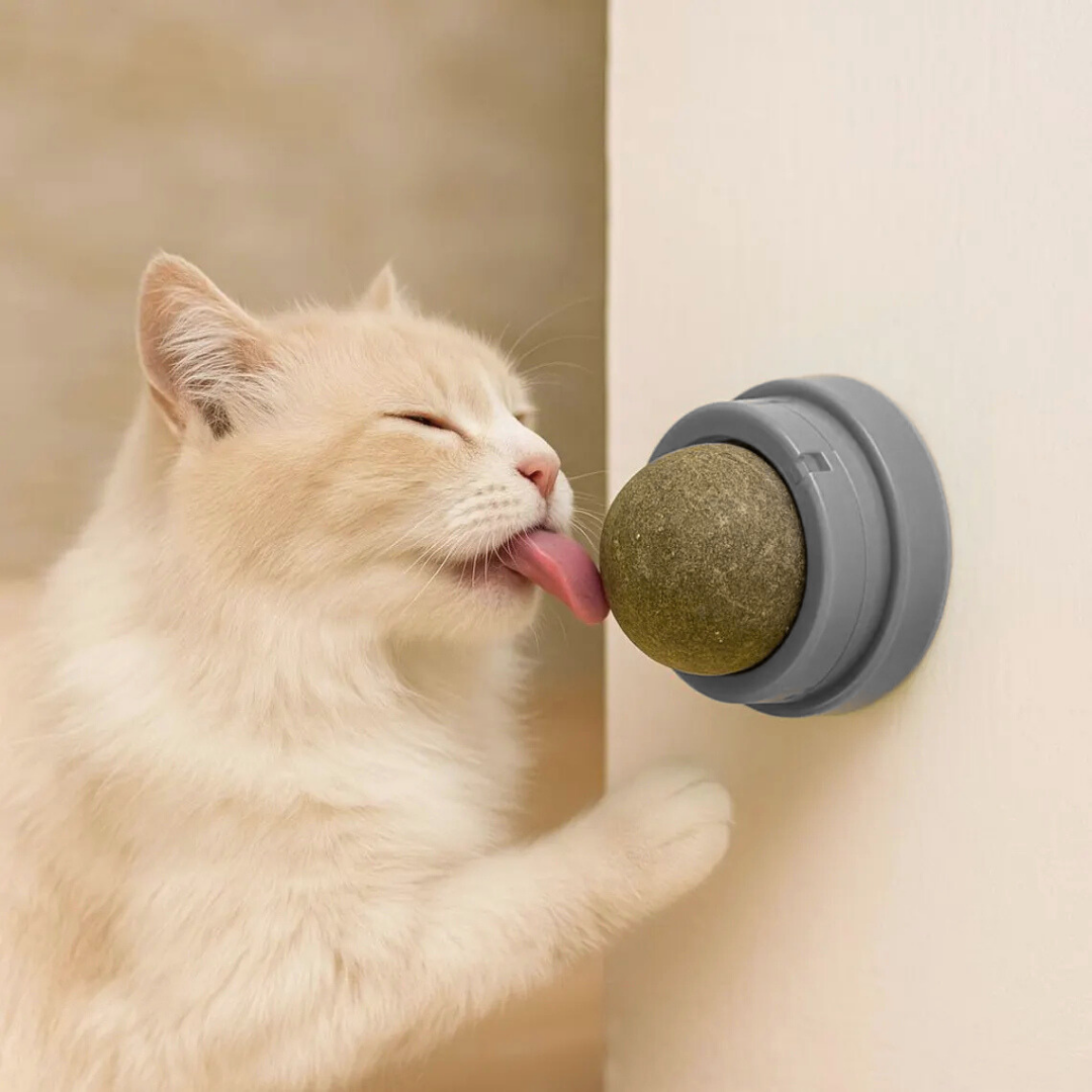Catnip Ball with Sticker