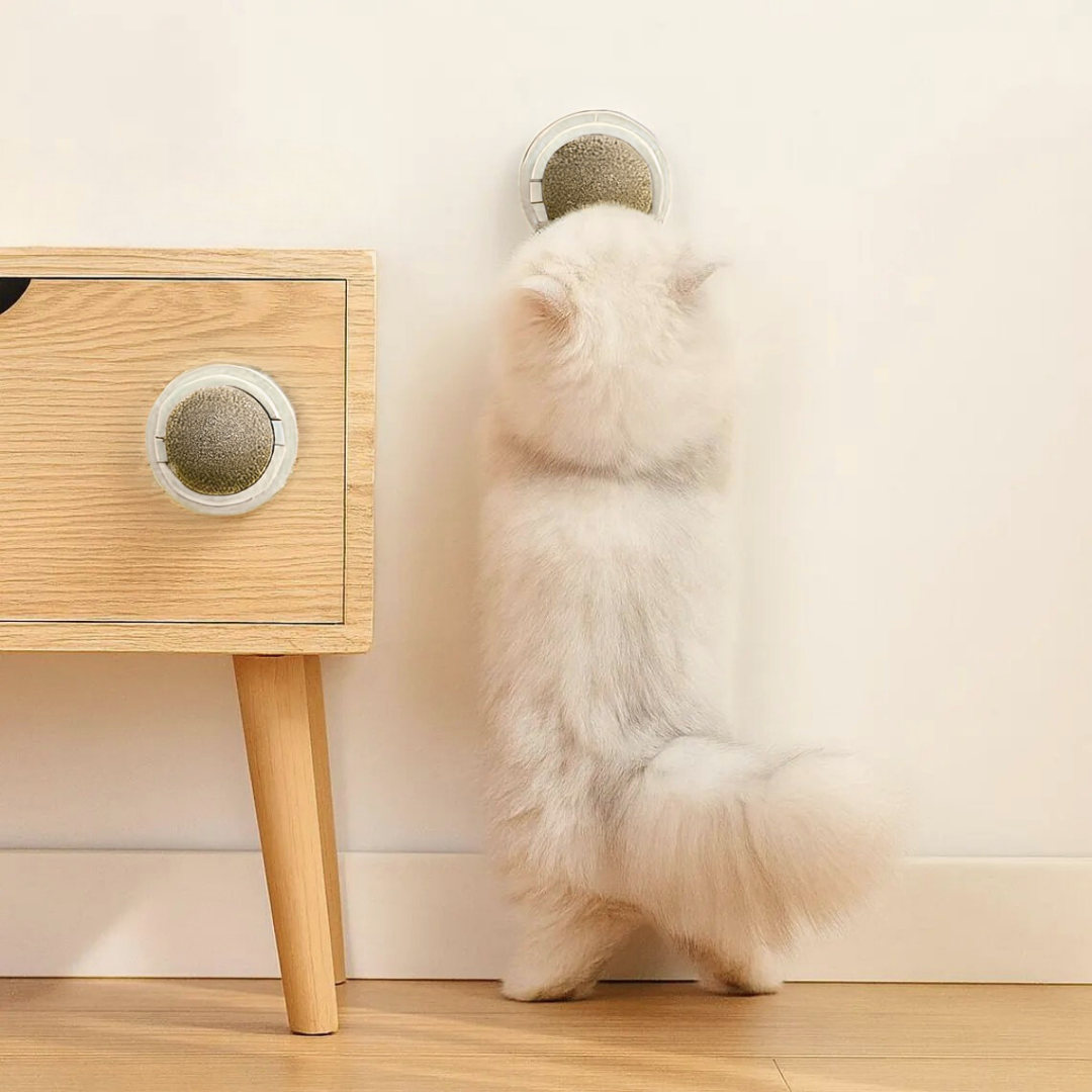 Catnip Ball with Sticker