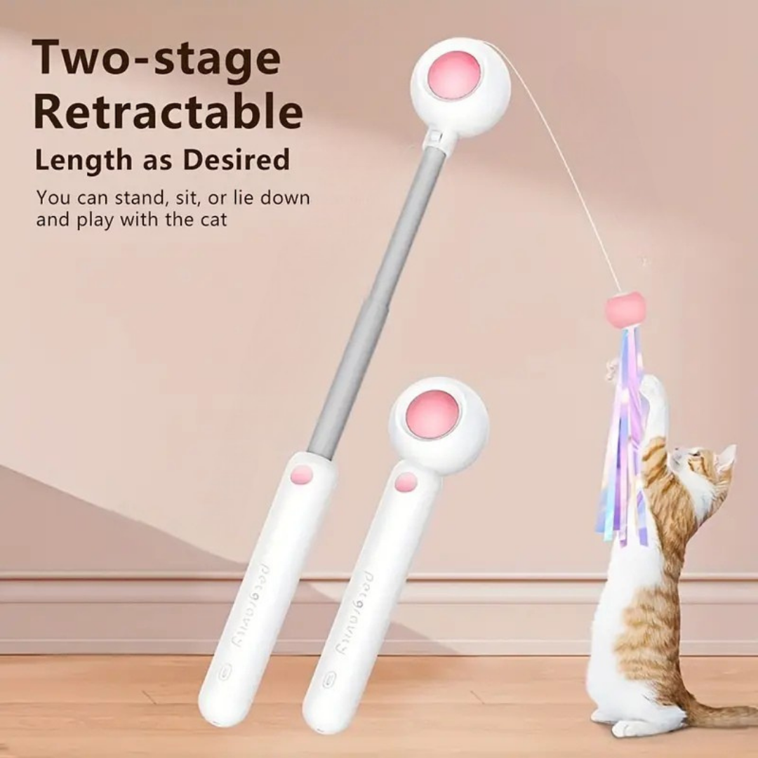 Retractable Cat Wand