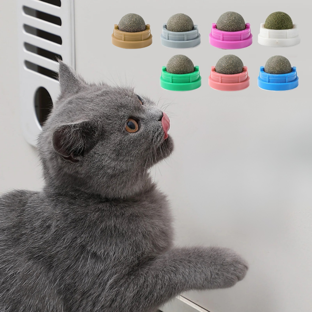 Catnip Ball with Sticker