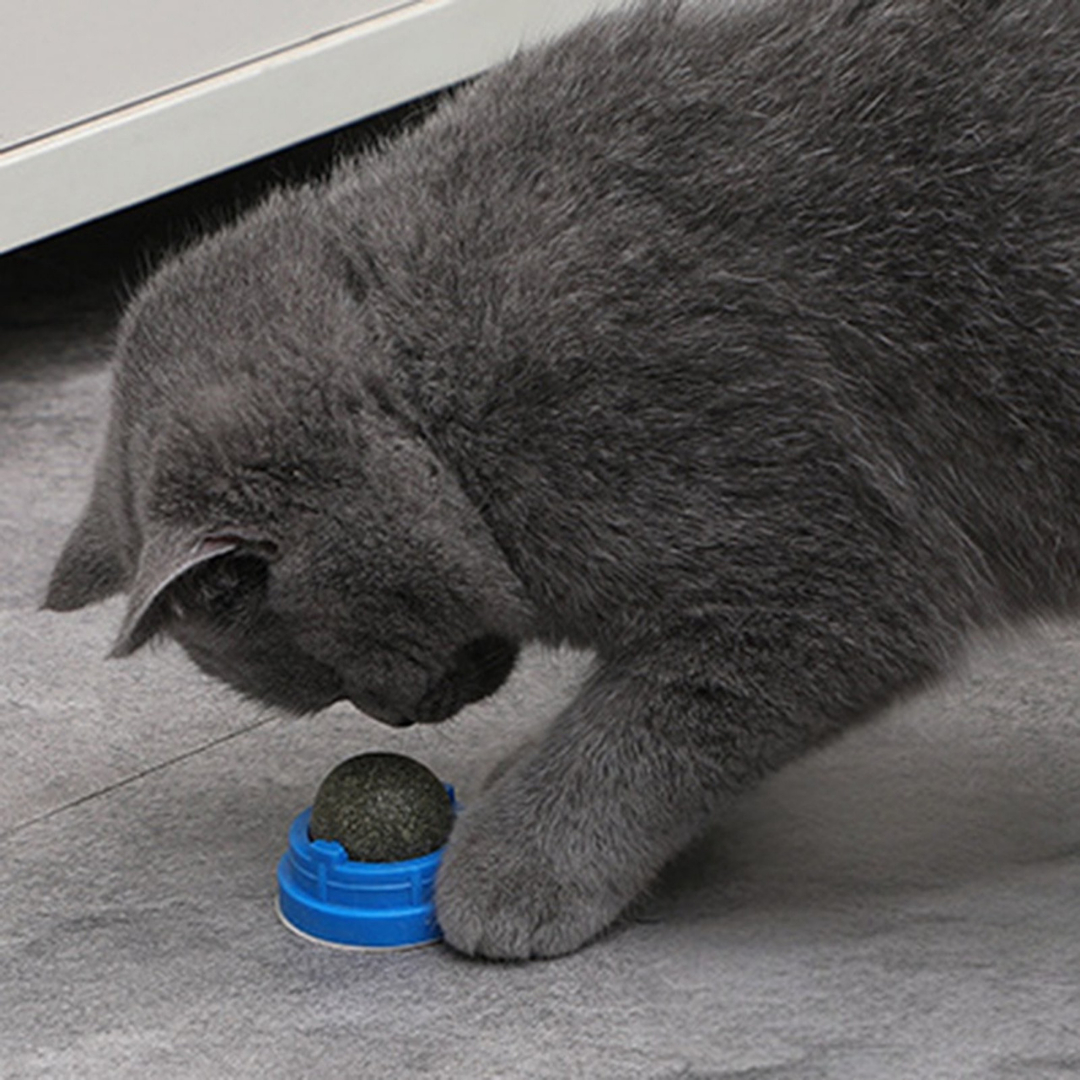 Catnip Ball with Sticker