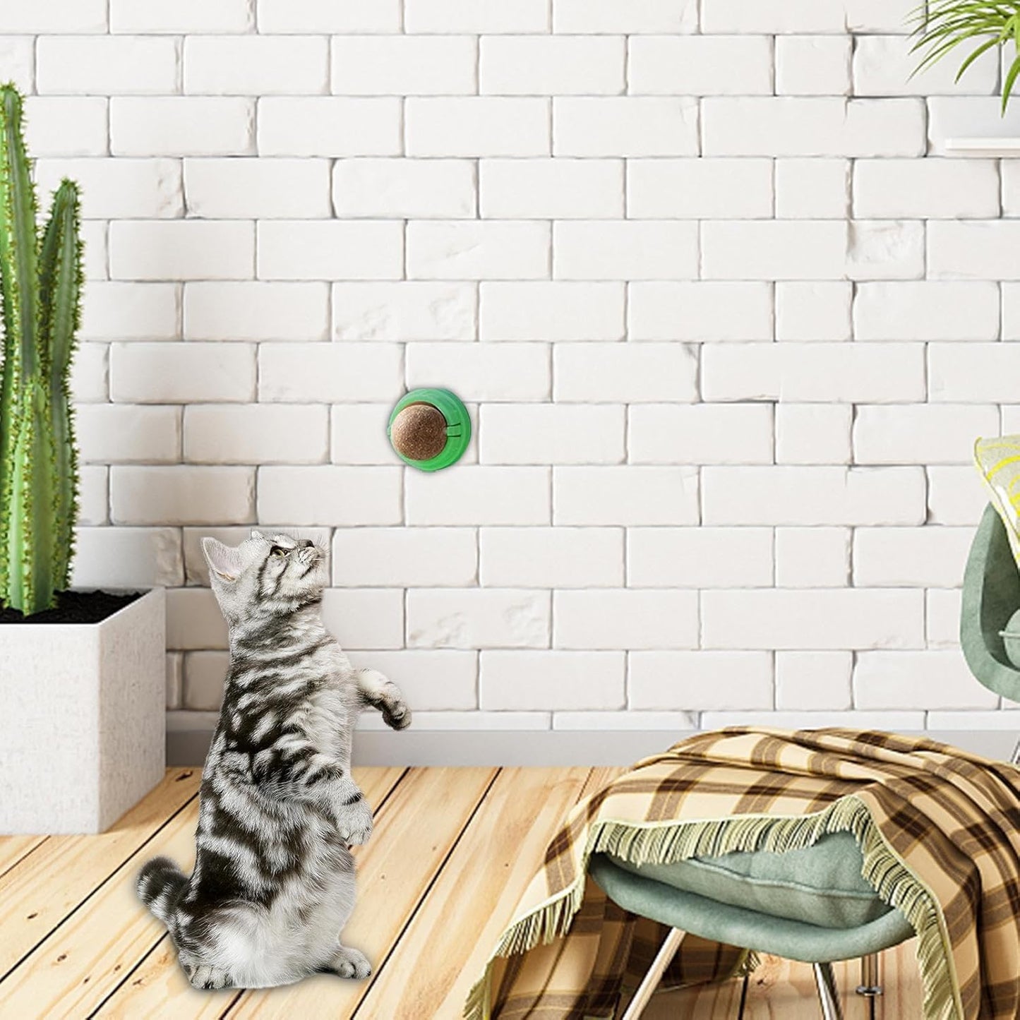 Catnip Ball with Sticker