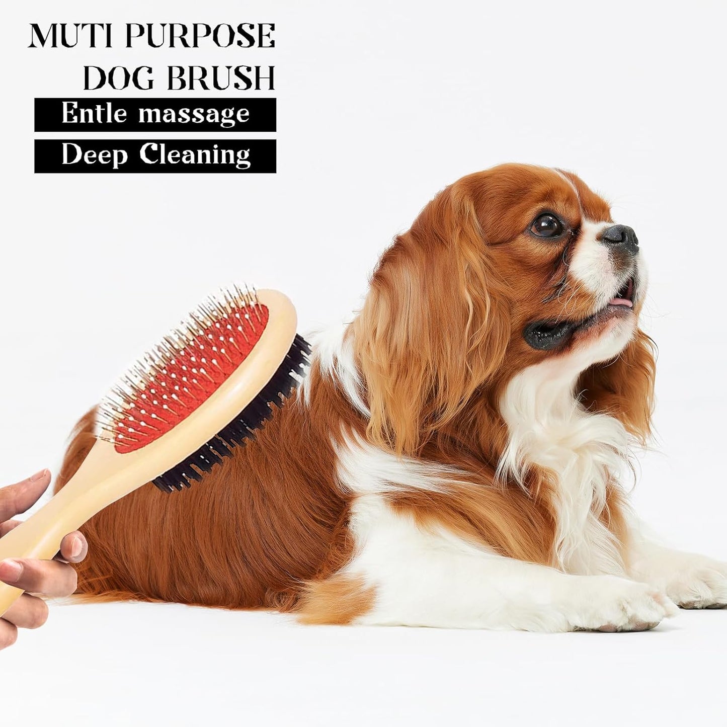 Double-Sided Pet Grooming Brush