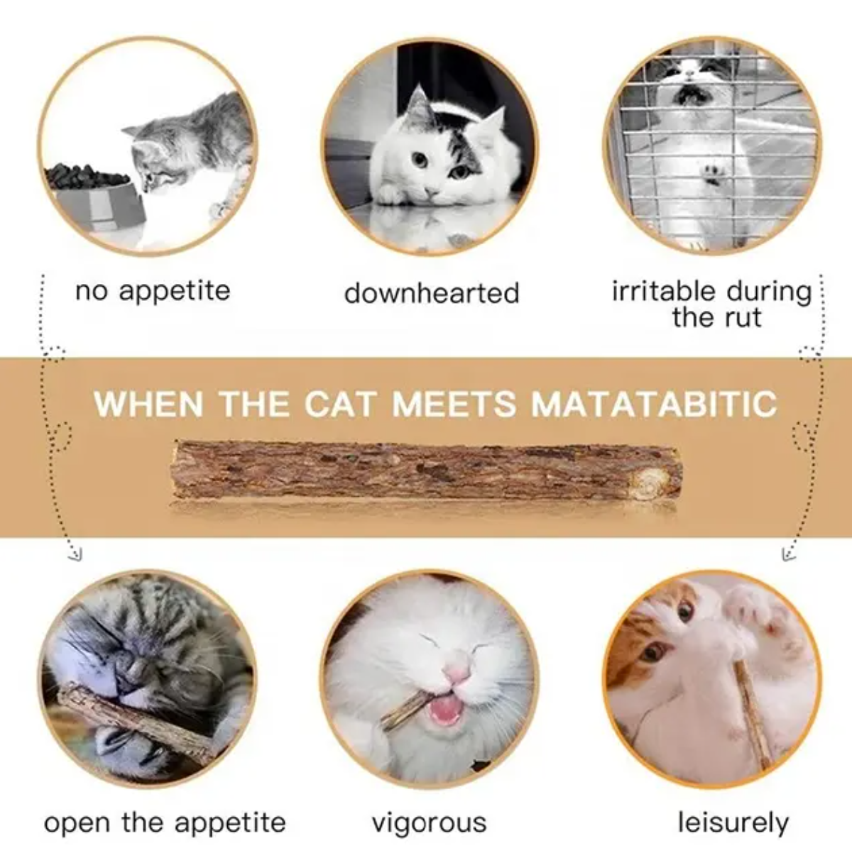 Bioline - Cat Catnip Dental Sticks (5 pieces)