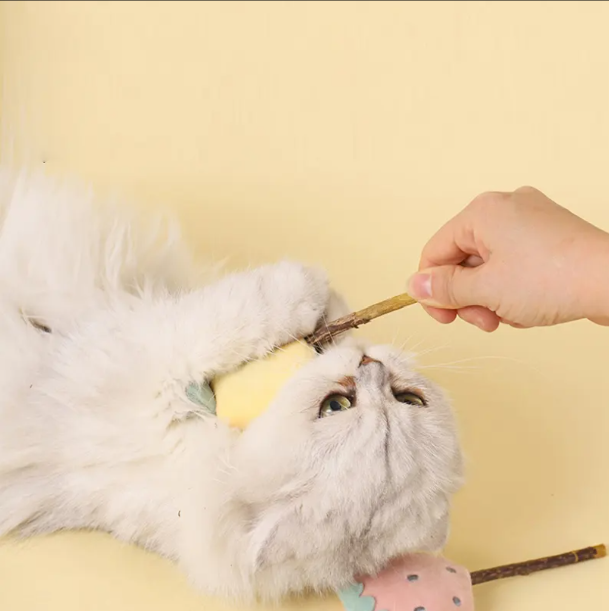 Bioline - Cat Catnip Dental Sticks (5 pieces)