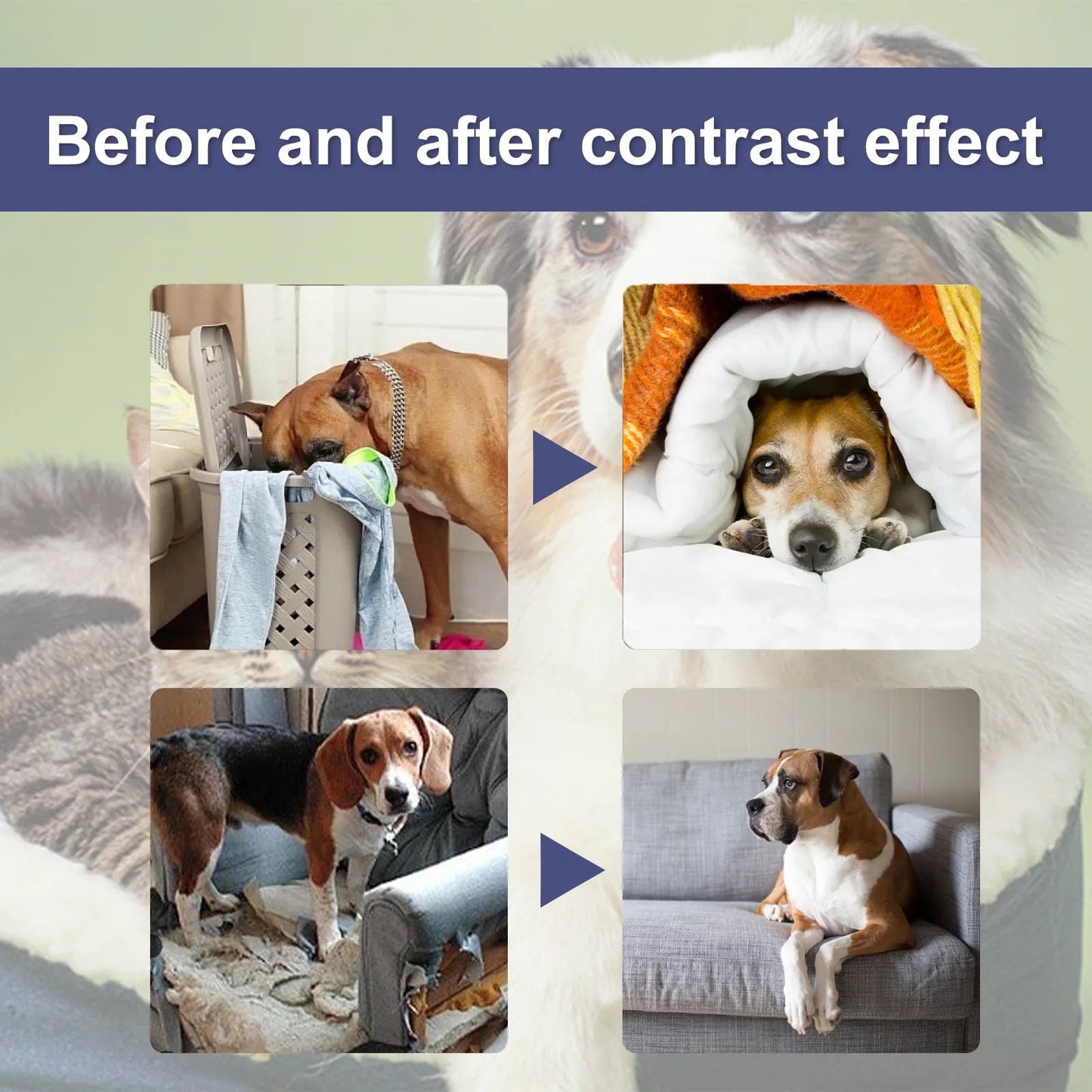 Pet Anti-Chew Bitter Spray