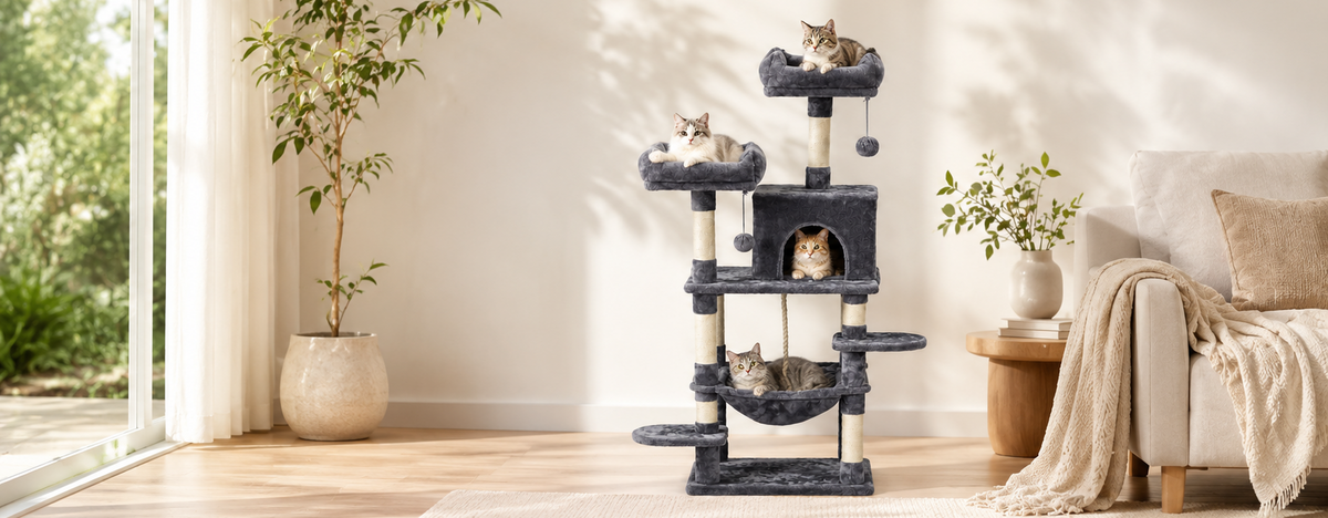 Cats - Scratch & Climb