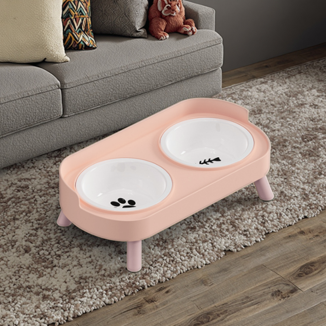 Double Pet Feeder with Anti-Leak Fence