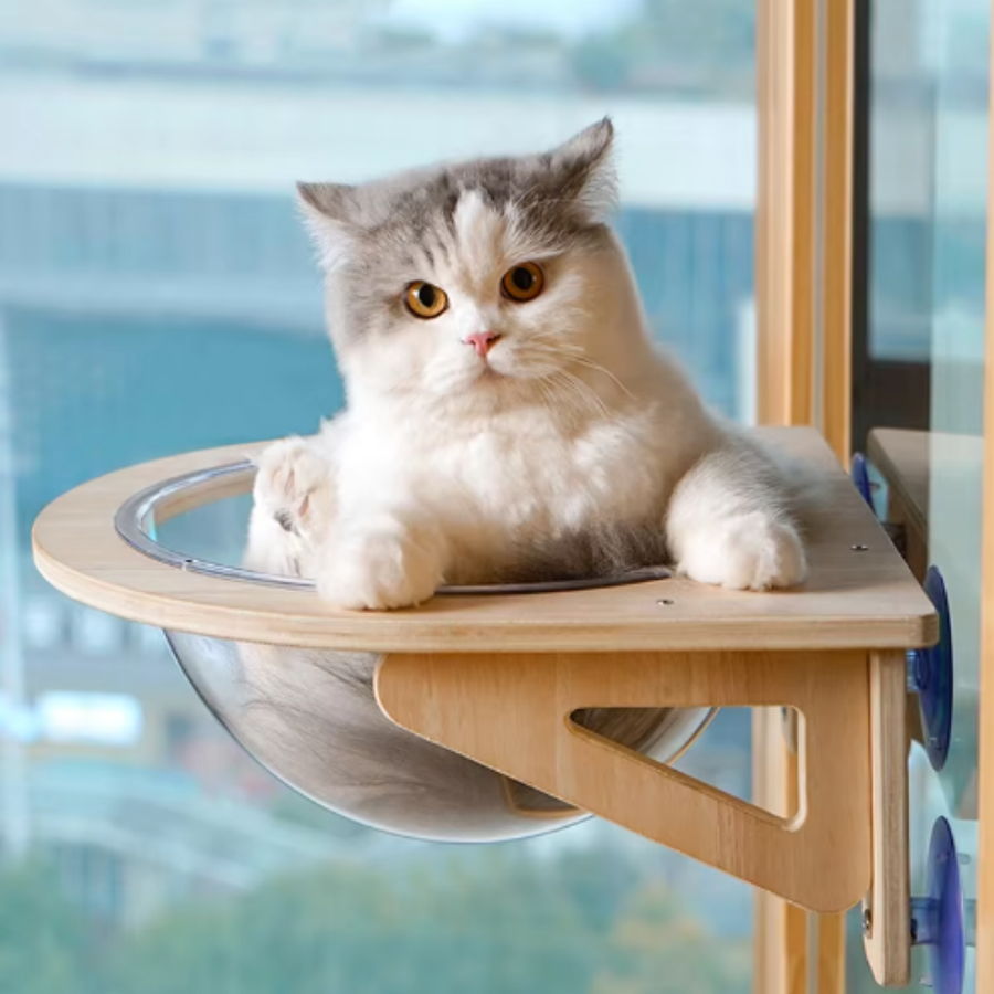 Hideaway Cat Nest