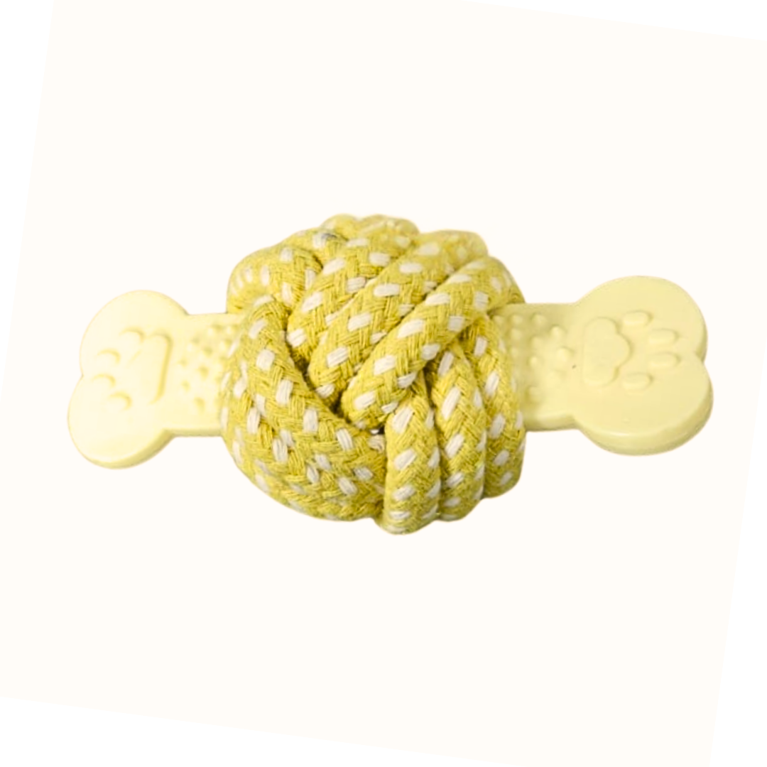 Dog Playtime Bundle – 8 Piece Set