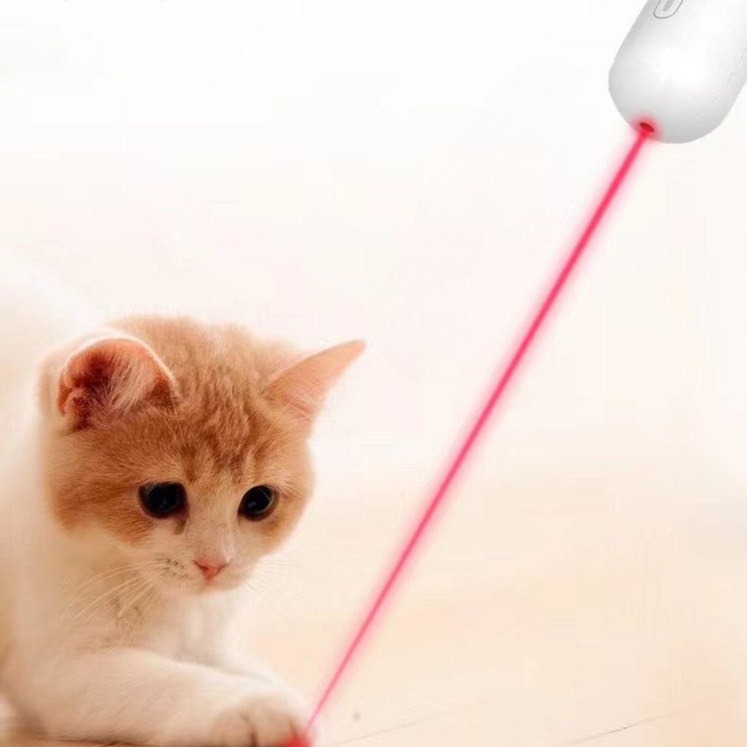 Retractable Cat Wand