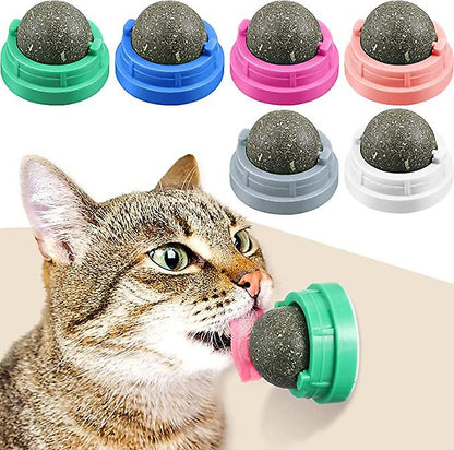 Catnip Ball with Sticker