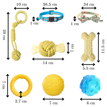 Dog Playtime Bundle – 8 Piece Set