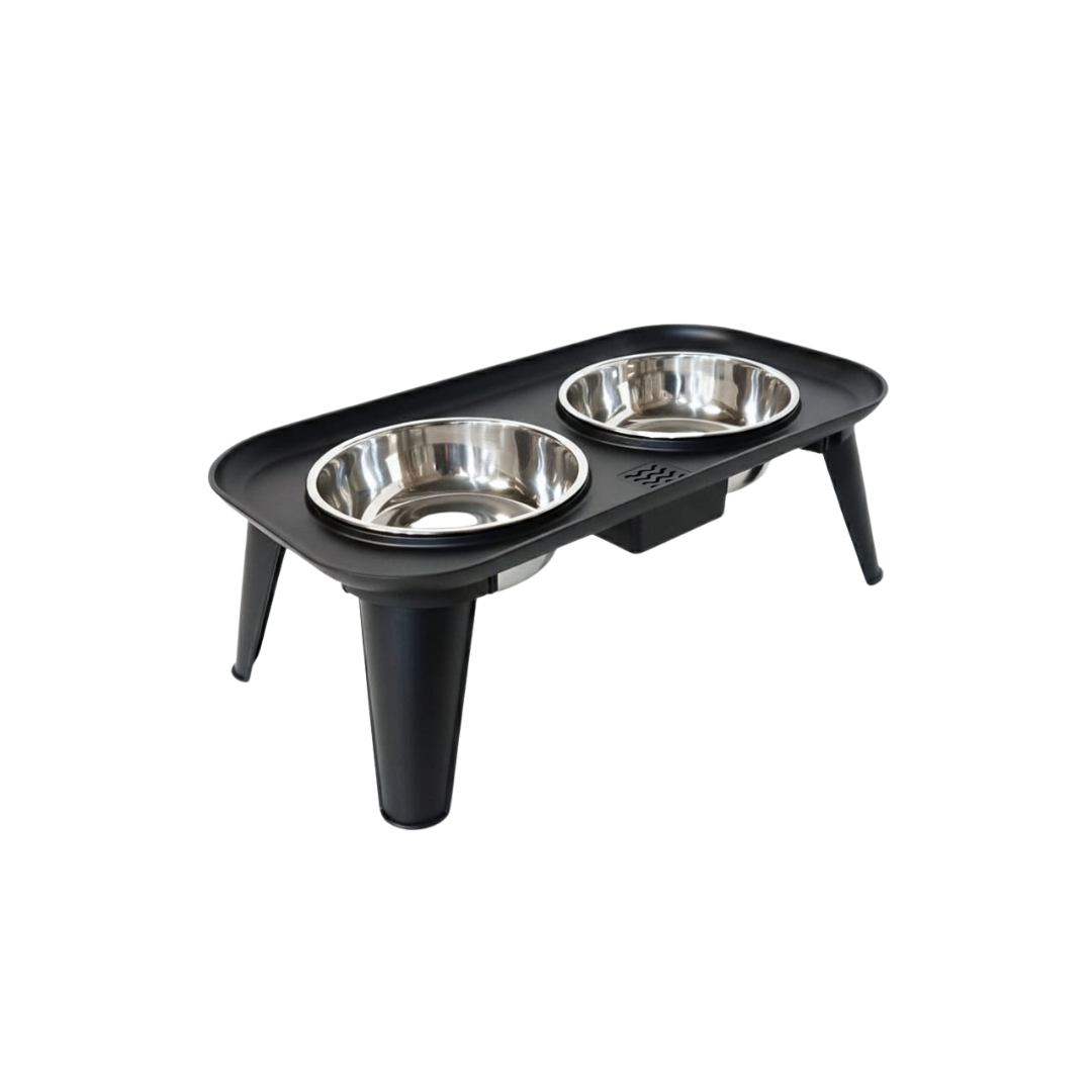 Modern Raised Pet Feeder