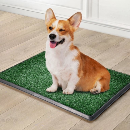 PrimeGrass Pet Toilet