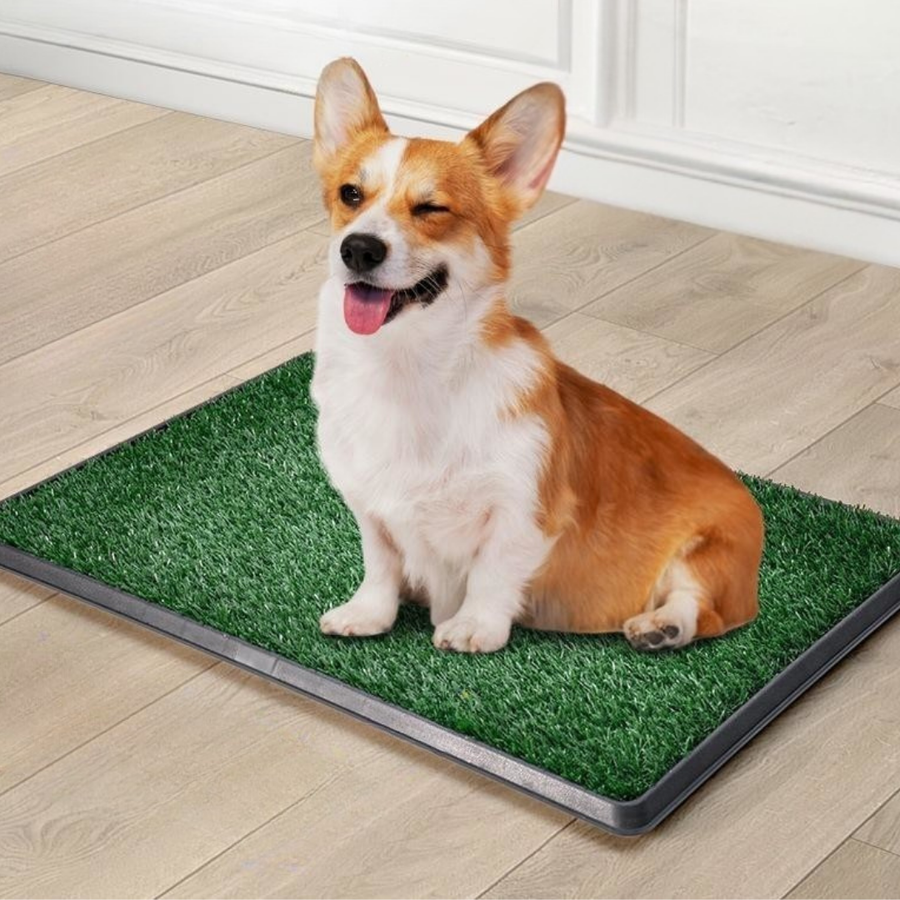 PrimeGrass Pet Toilet