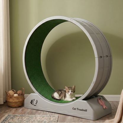 TurfStride Cat Treadmill