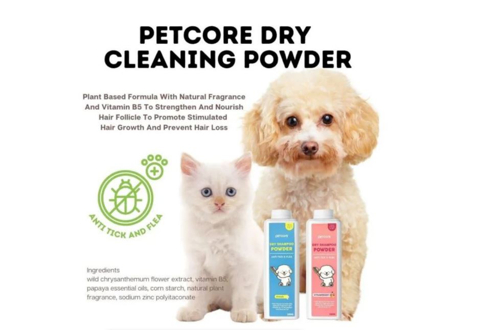 Dry Shampoo Powder