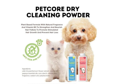 Dry Shampoo Powder