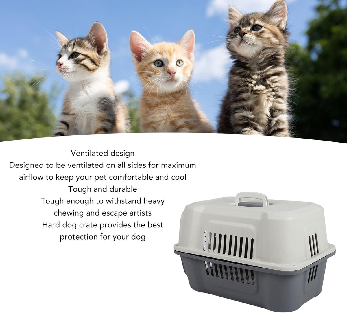 Two-Tone Pet Carrier