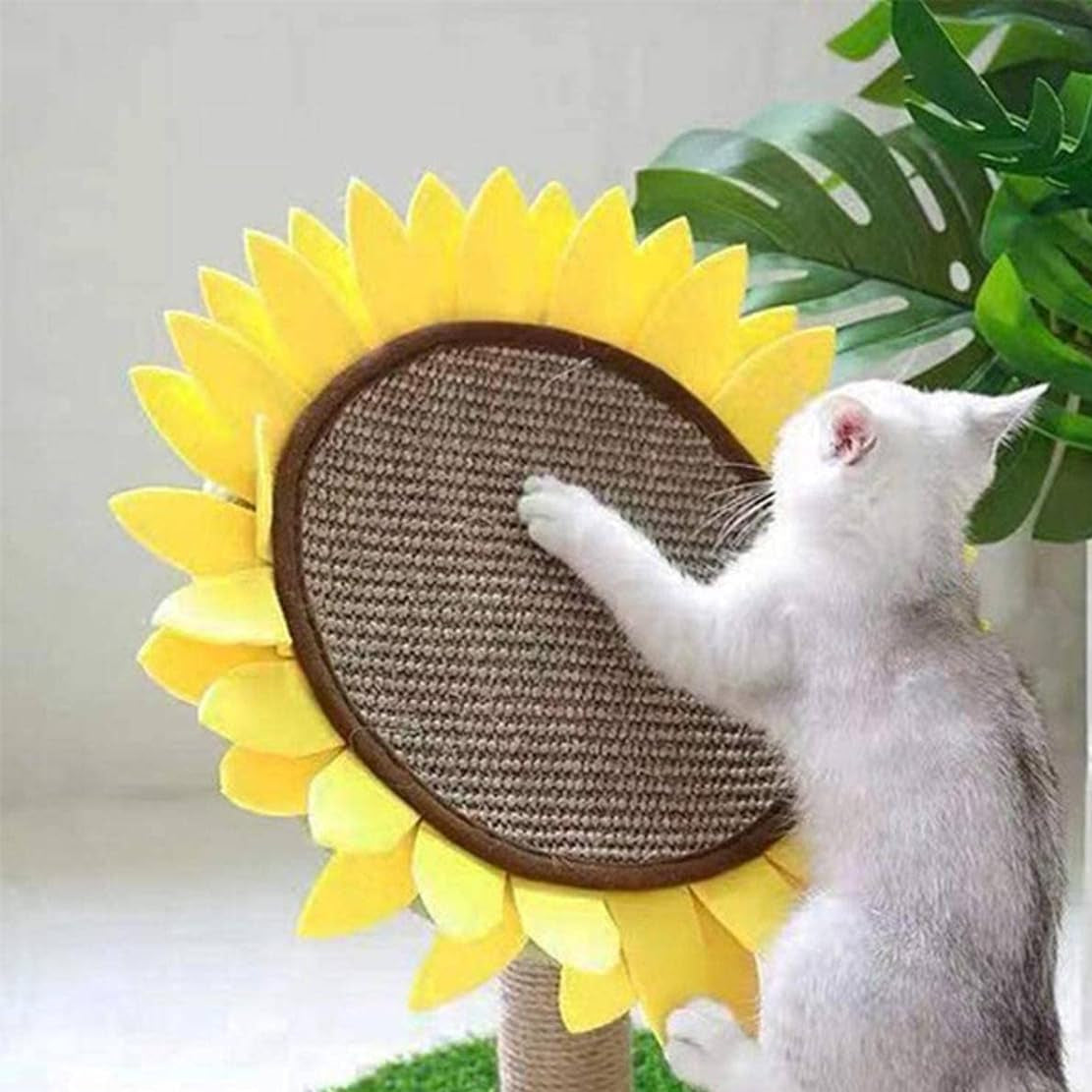 Sunflower Cat Post