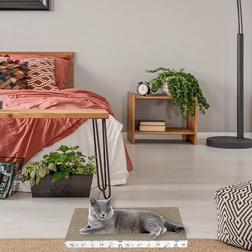 Replaceable Cat Scratcher Board