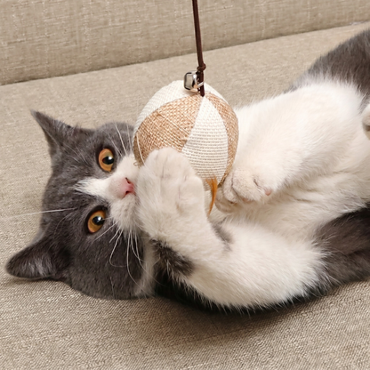 Kivo Interactive Cat Teaser Toy