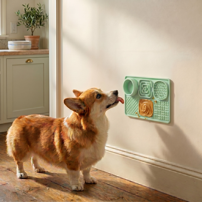 Ollie Slow Feeder & Lick Mat
