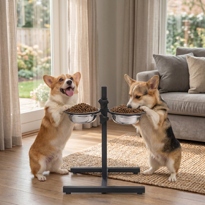 Pace Height-Adjustable Pet Feeder