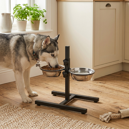 Pace Height-Adjustable Pet Feeder