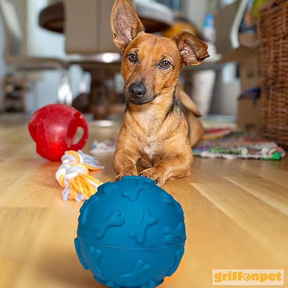 Dog Playtime Bundle – 8 Piece Set