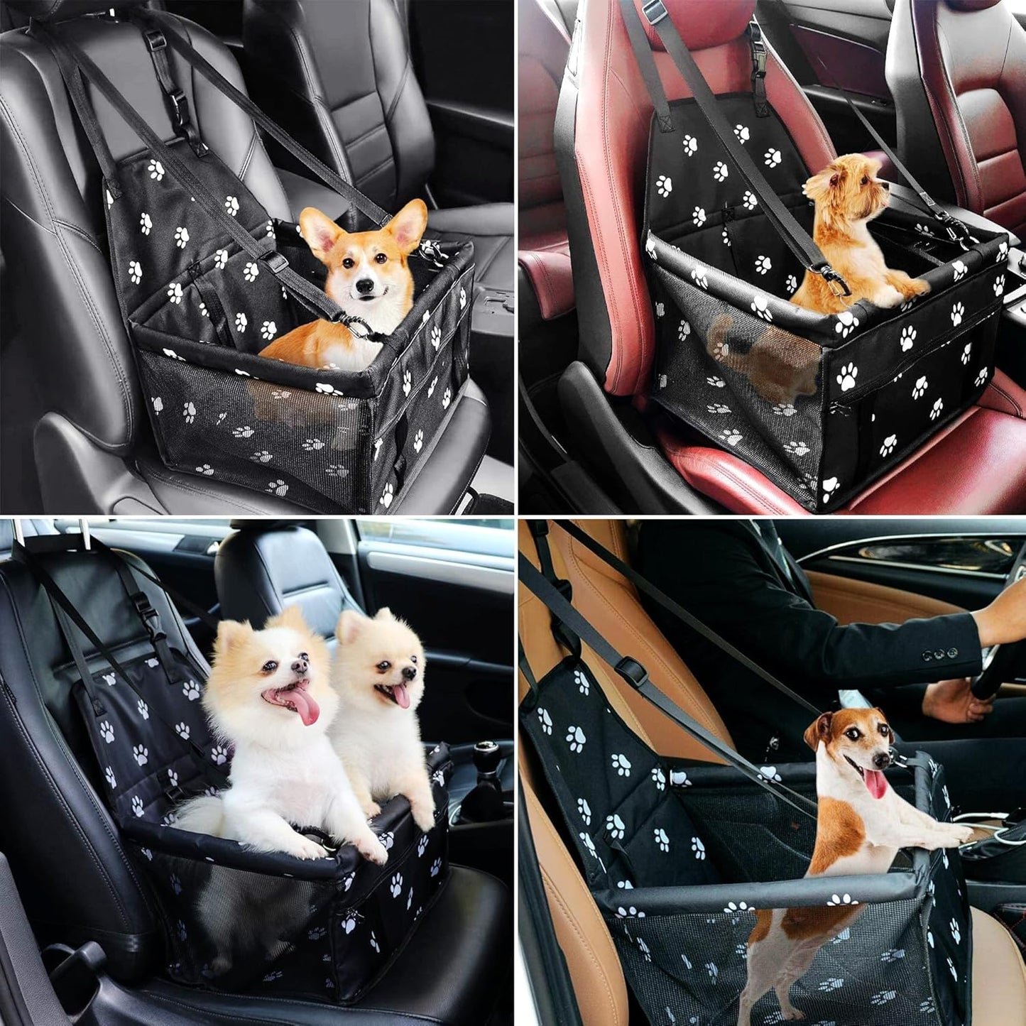 Foldable Pet Carrier