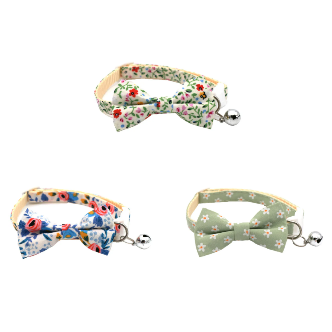 Dog Playtime Bundle – 8 Piece Set