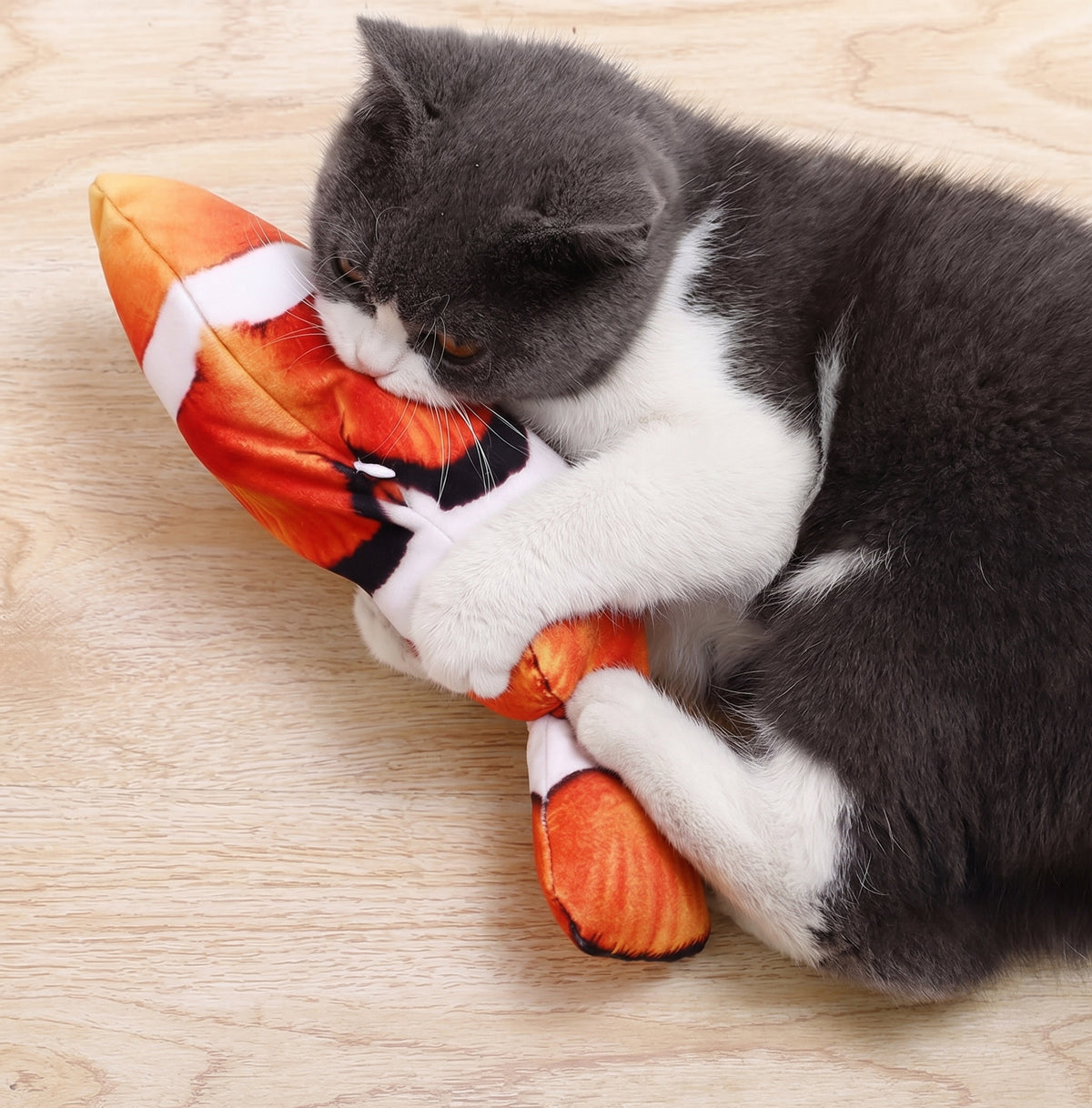 Dancing Fish Toy