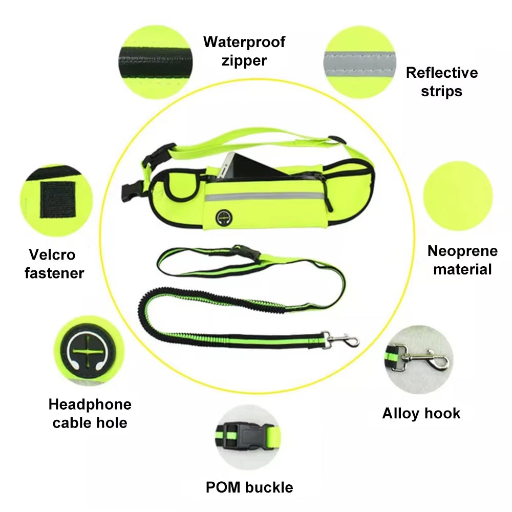 Hands-Free Pet Leash