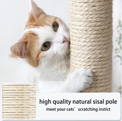 75 cm Cat Scratch Post - Cat Tree – Cat Tower