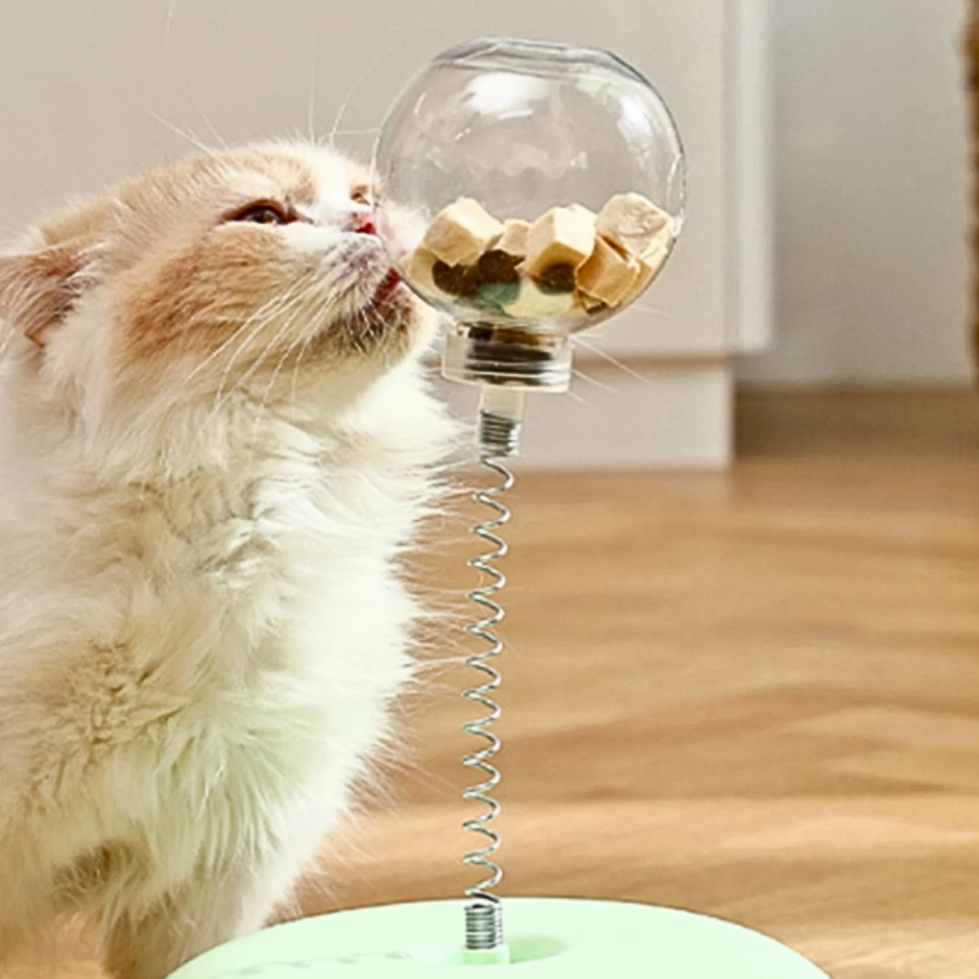 Interactive Turntable Toy with Snack Dispenser