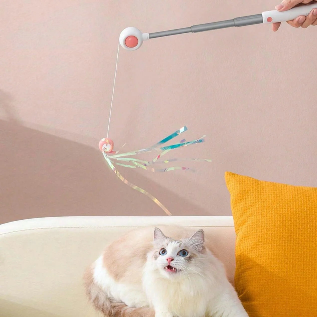 Retractable Cat Wand
