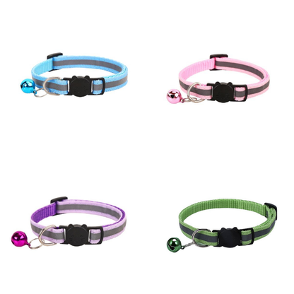 Dog Playtime Bundle – 8 Piece Set