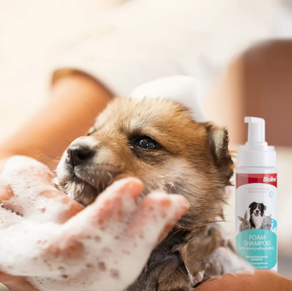 Bioline - Waterless Foam Shampoo for Cats & Dogs