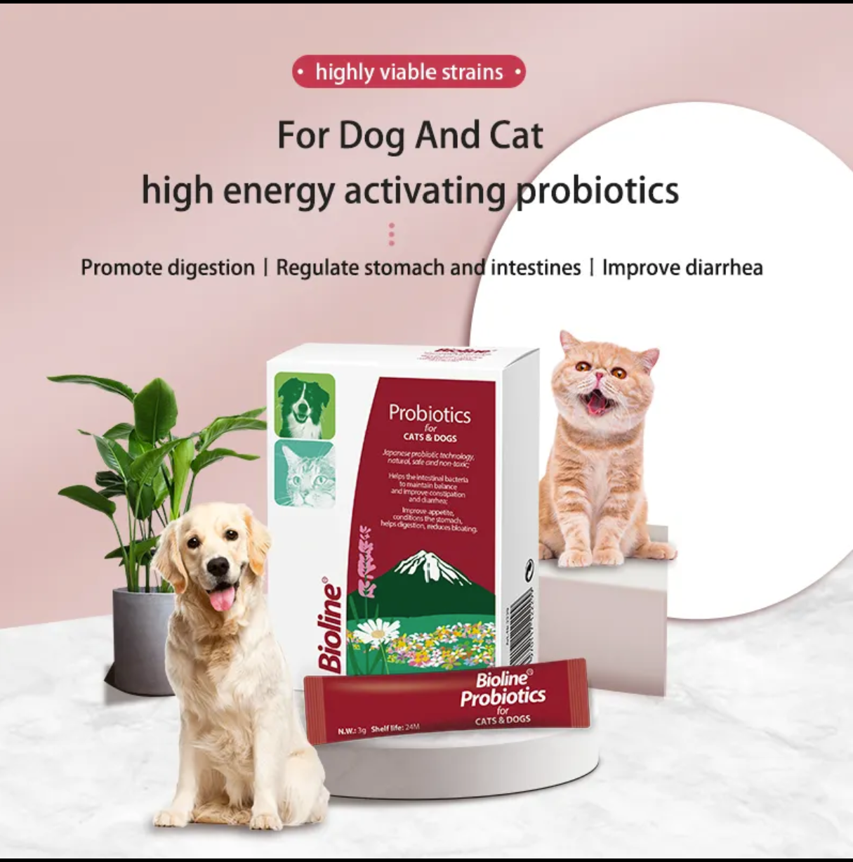 Bioline - Probiotics for Cats & Dogs (10 x 3g Sachets)