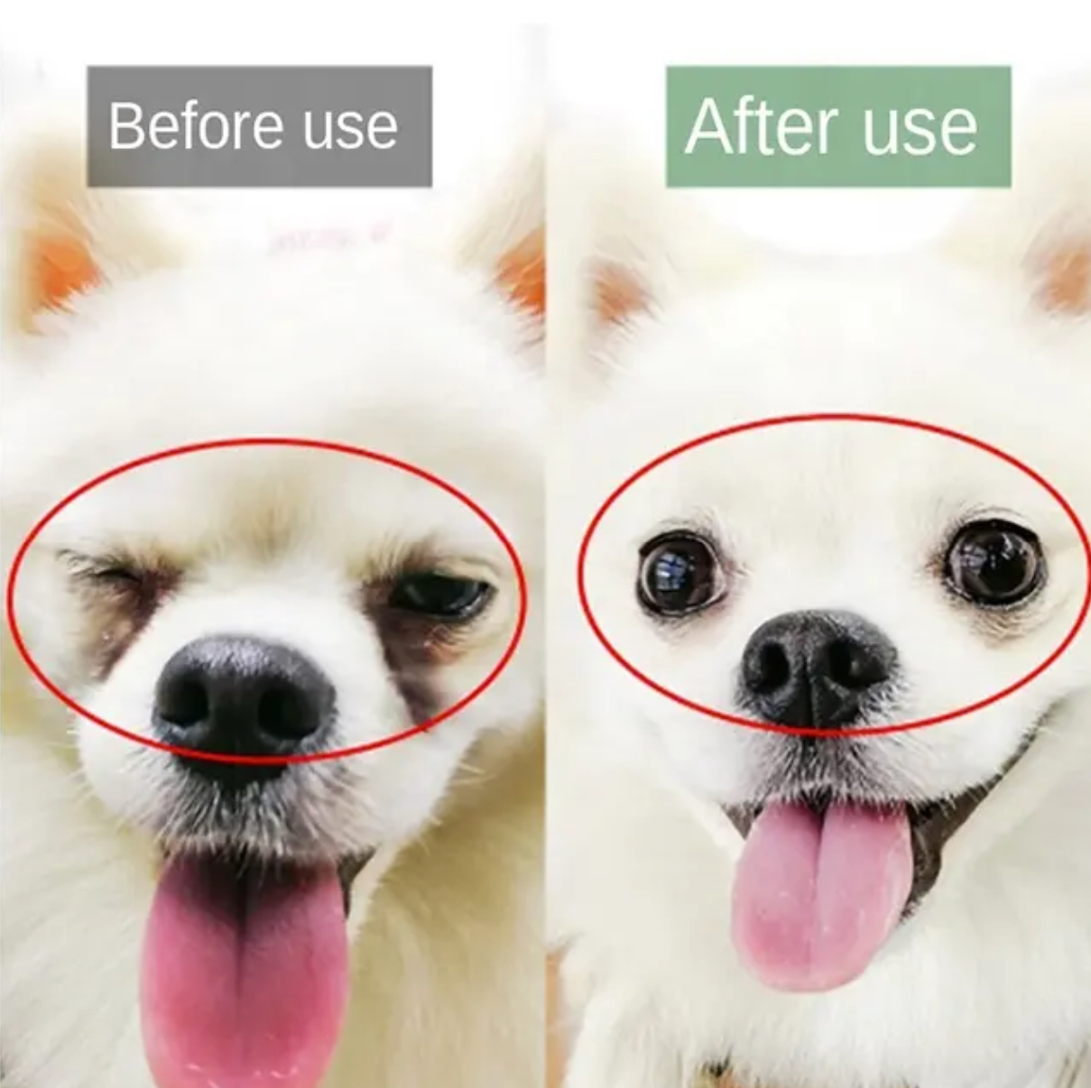 Premium Paws – Bioline - Tear Stain Remover