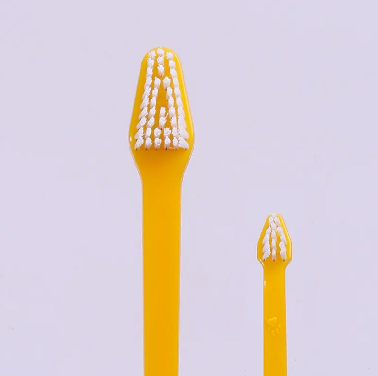 Premium Paws – Bioline - Toothbrush Kit – 4-Piece Set