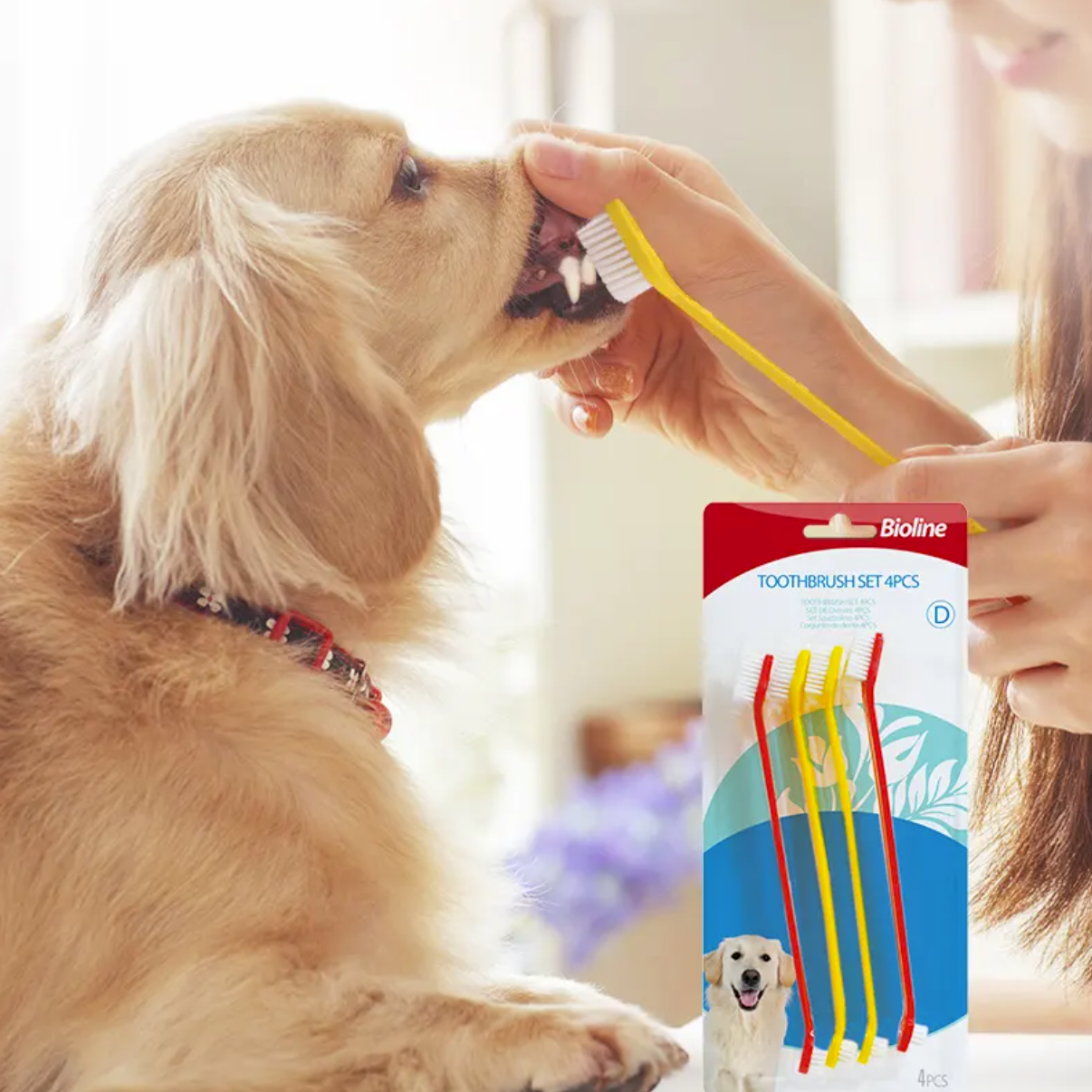 Premium Paws – Bioline - Toothbrush Kit – 4-Piece Set