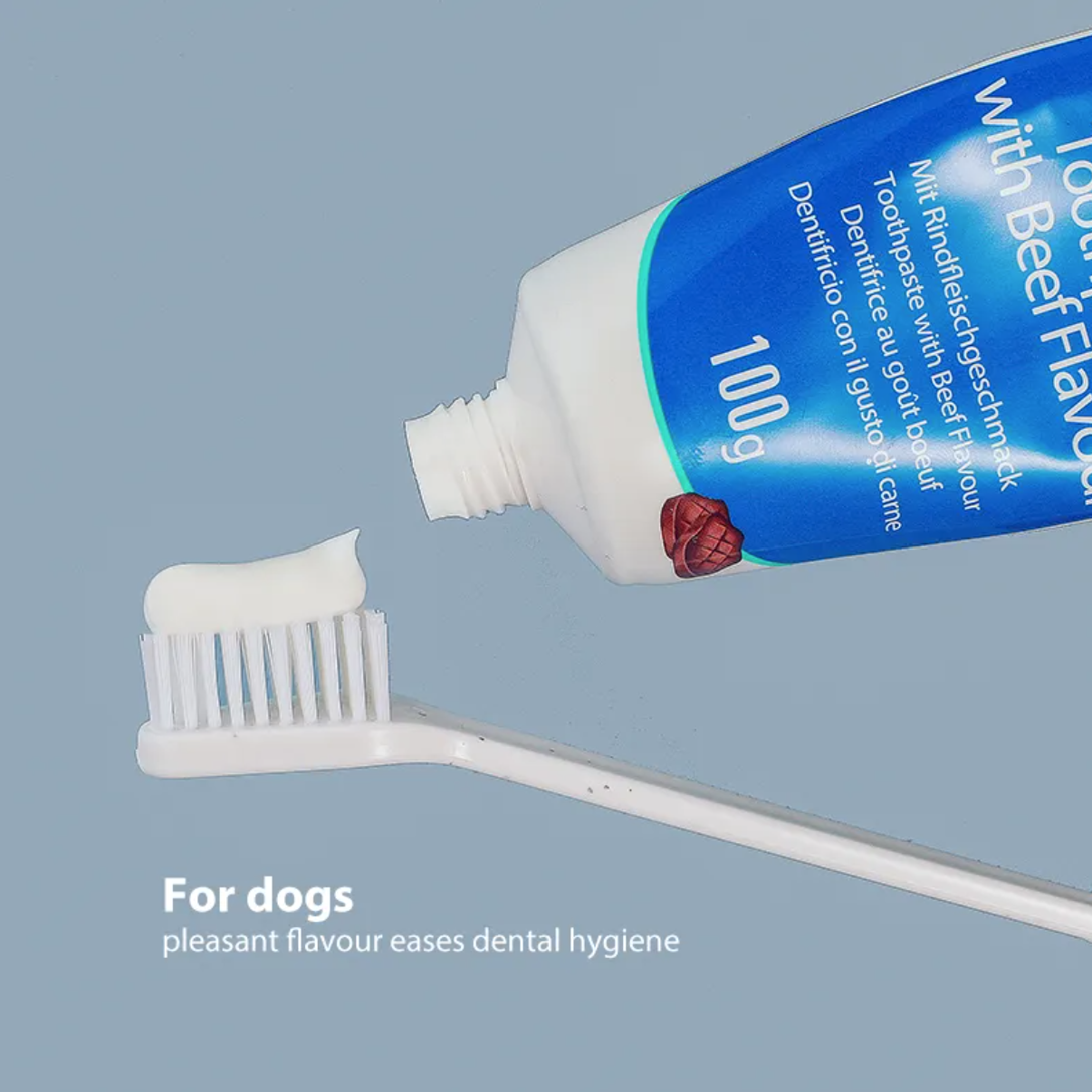 Premium Paws – Bioline - Dental Care Set – Beef Flavor – 100g