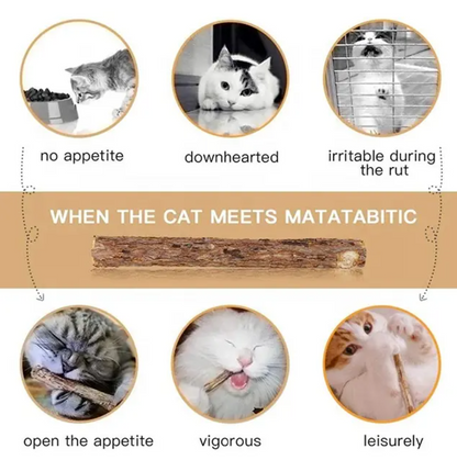 Bioline - Cat Catnip Dental Sticks (5 pieces)