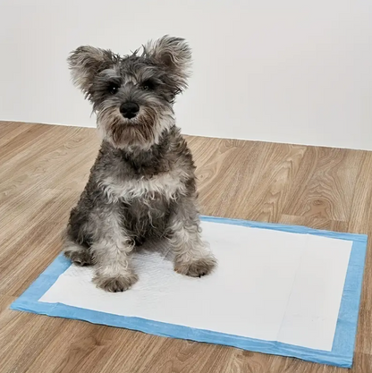 Pet Training Pads – Ultra-Absorbent Disposable Pads
