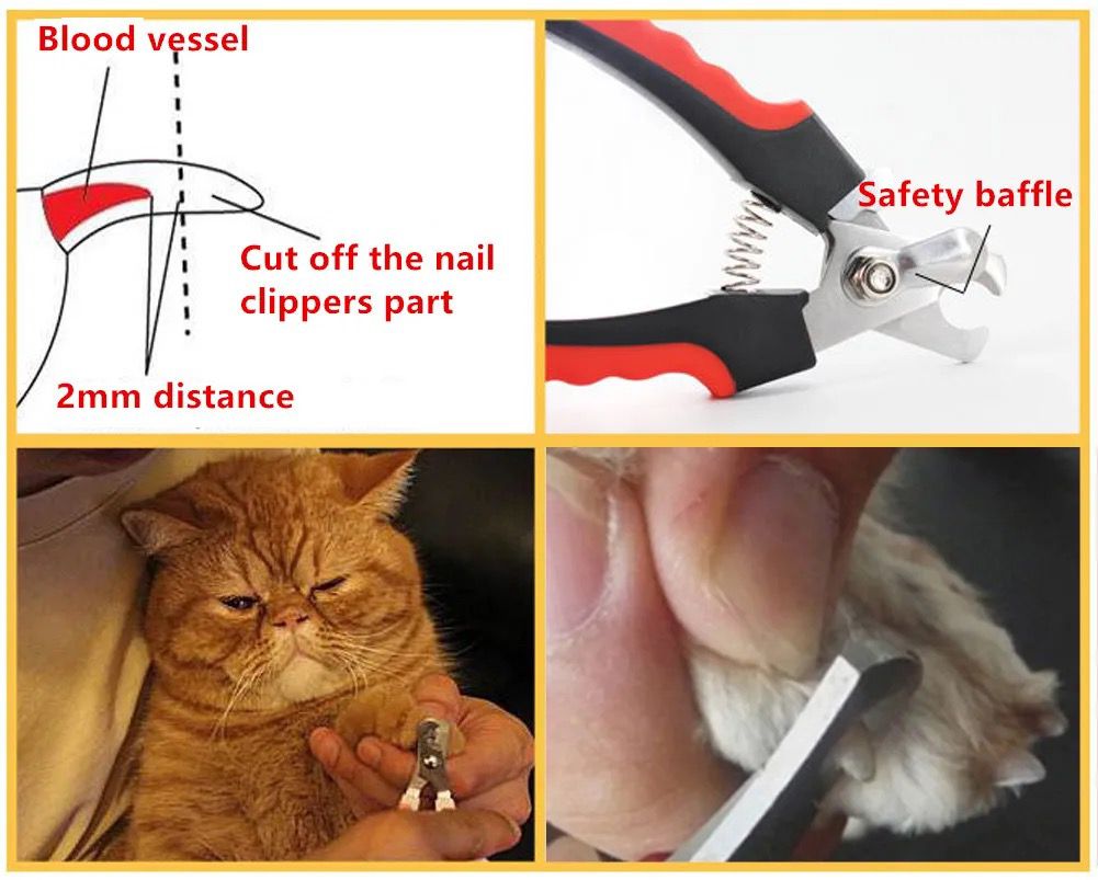 Stainless Steel Nail Clippers for Cats & Small Pets